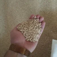 چند تُن جو