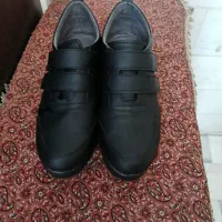 کفش|کیف، کفش، کمربند|تهران, دروازه شمیران|دیوار