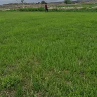 فروش زمین کشاورزی مناسب برای باغ جاده پلدشت