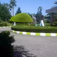 کلیه خدمات باغ و دیزاین