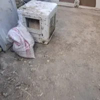 کولر ابی