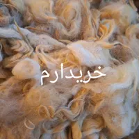 پشم