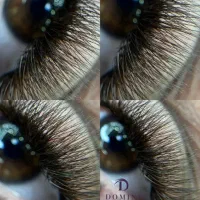 تخفیف آموزش اکستنشن مژه|خدمات آموزشی|شاهین‌شهر, خانه کارگر|دیوار