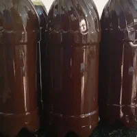 روغن تخم کدو