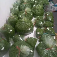 سبزی خرده شده|خوردنی و آشامیدنی|رشت, انصاری|دیوار