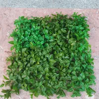 گرین وال