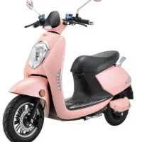 تعمیرات موتور سکلت برقی