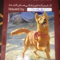 سگ ژرمن شپرد|سگ|کهنوج, |دیوار