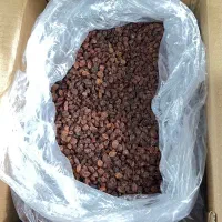 فروش ویژه کشمش فله پلویی