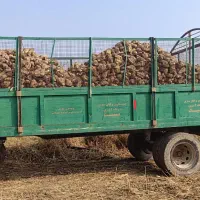 تریلی 8چرخ ترمز دار