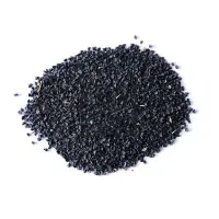 نیارمند تخم موسیر