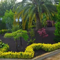 باغبانی ،اجرای فضای سبز،کلاراباد،نمک ابرود|خدمات باغبانی و درختکاری|کلارآباد, |دیوار