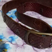 کمربند چرم اصل طبیعی|کیف، کفش، کمربند|قزوین, |دیوار