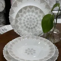 ارکوپال درجه یک|ظروف سرو و پذیرایی|سنندج, |دیوار