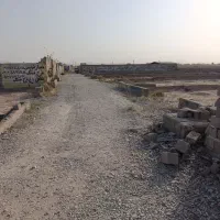 زمین-باغچه
