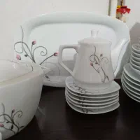 سرویس چینی ۷۹ پارچه پردیس انگلیس