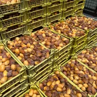 رطب عسلی نوبرانه