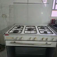 فرگاز