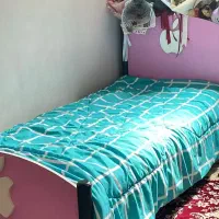 دو عدد تخت یک نفره