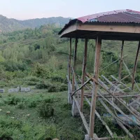 500متر زمین باغی و کلبه جنگلی|فروش زمین و ملک کلنگی|اطاقور, |دیوار