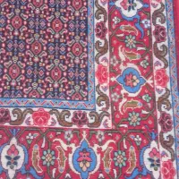 دو عدد قالی دستباف کلاو فرنگ|فرش|سنندج, |دیوار