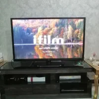 تلویزیون 50اینچ|تلویزیون و پروژکتور|شاهینشهر, عطار|دیوار