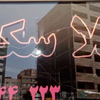 نئون (پلاسکو)