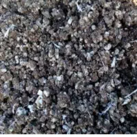 کود کفتر خشک خشک