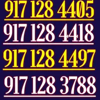 917.128.4405
