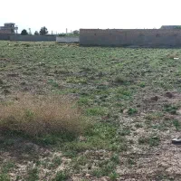 زمین-تاج-خاتون-با-سند-کشاورزی-موقعیت-عالی