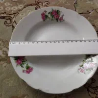 ظروف چینی اصل|ظروف سرو و پذیرایی|فردیس, نسترن شرقی|دیوار