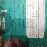 فرش فرح 700 شانه|فرش|قم, باجک سه|دیوار