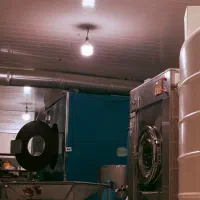 سنگشور و آنزیم شور