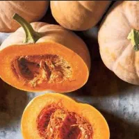 مربای کدو ترد و شیشه ای|خوردنی و آشامیدنی|شیراز, محراب|دیوار