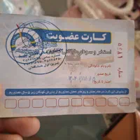 کارت استخر دلفین سفید