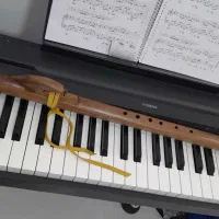 فلوت لاکوتا فلوت سرخپوستی|سازهای بادی|شاهین‌شهر, خبرنگار|دیوار