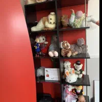 کمد لباس و ویترین|تخت و سرویس خواب|قم, ولیعصر|دیوار