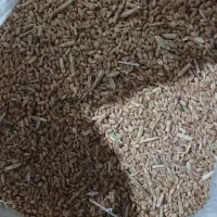 گندم|گل و گیاه طبیعی|بروجن, |دیوار