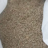 فروش جزئی انجیر گردو حبوبات کشمش افتابی مویز|خوردنی و آشامیدنی|یزد, |دیوار