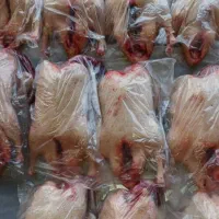 اردک شالیزار پاک کرده با مخلفات شکم 400تومن|حیوانات مزرعه|محمودآباد, |دیوار