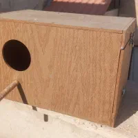 قفس پرنده|لوازم جانبی حیوانات|اندیشه, اندیشه فاز ۳|دیوار