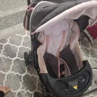 کالاسکه دلیجان|کالسکه و لوازم جانبی|شهرکرد, |دیوار