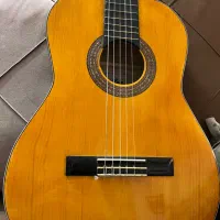 گیتار کلاسیک آریا اصلی