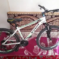 دوچرخه ۲۶ ویوا نو تنه بالا|دوچرخه، اسکیت، اسکوتر|کبودرآهنگ, |دیوار