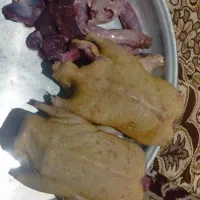 اردک پاک کرده|حیوانات مزرعه|بندر انزلی, خوش پیک|دیوار