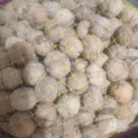 گردوی گوغر فروشی