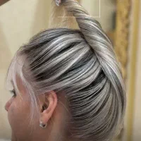 آموزش و خدمات فوق حرفه ای رنگ ولایت