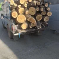 خریدچوب ودرخت همه نوع حرس درخت تسویه نقدی