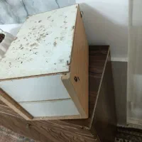 لونه کوتوله و عروس هلندی