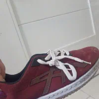 کفش|کیف، کفش، کمربند|رشت, توشیبا|دیوار